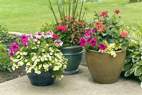 Awesome 60 Gorgeous Summer Container Gardening Ideas Decorations And ...