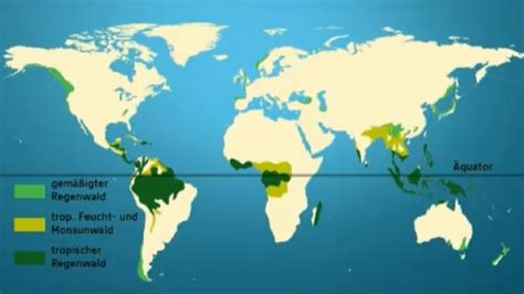 Landschaften: Regenwald - Regenwald - Landschaften - Natur - Planet Wissen