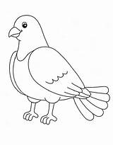 Dove Coloring Pages Free Printable PDF sketch template