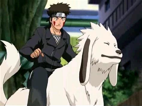 Bilinick: Akamaru