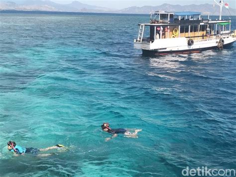 Warga Pulau Komodo Soroti Guide Tak Dampingi Turis Snorkeling