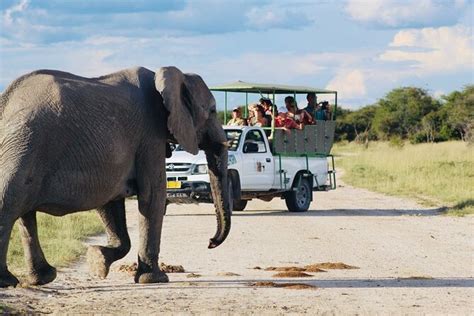 Etosha National Park Safari with Local Professional Guides 2024