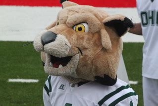 The Ohio University mascot....Rufus the Bobcat | I liked Ruf… | Flickr