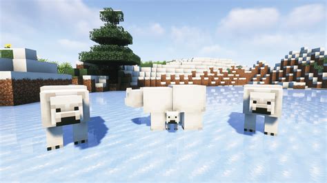 What Do Polar Bears Eat in Minecraft - VideoGamer