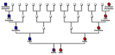 DNA Testing for Genealogy 101 - What Can It Do For You?? Part 1 | Family tree dna, Ancestry dna ...