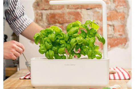 10 Best Indoor Herb Gardens and Garden Kits UK | London Evening ...