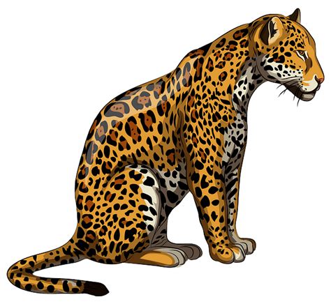 jaguar clipart images 10 free Cliparts | Download images on Clipground 2024