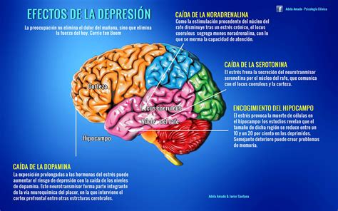 Adela Amado | Efectos de la depresión - Adela Amado