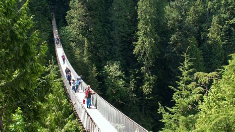 CAREY | CAPILANO SUSPENSION BRIDGE PARK