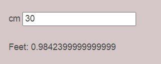30 CM TO FEET CONVERTER - StudySaga