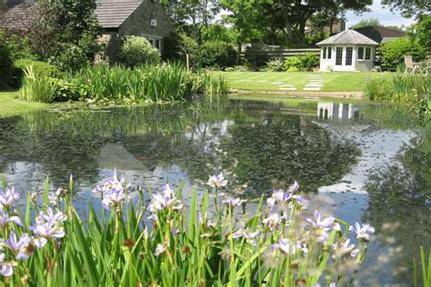 Creating A Lily Pond Garden Feature | Landscape Creations Case Study