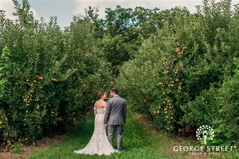 Blog | Fall’s Favorite: Apple Orchards, Weddings, and Cozy Photoshoots!