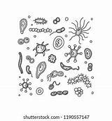 Cell Bacteria Coloring Prokaryotes Prokaryotic Worksheet Pages Cells  sketch template