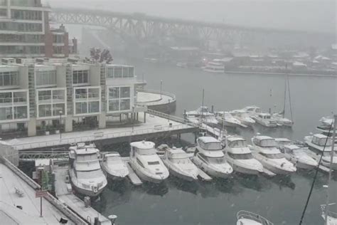 Vancouver locals share joyous photos of first heavy snowfall ...