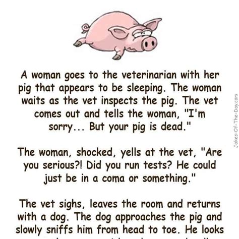 A woman goes to the Vet with her Pig – funny joke | Jokes Of The Day