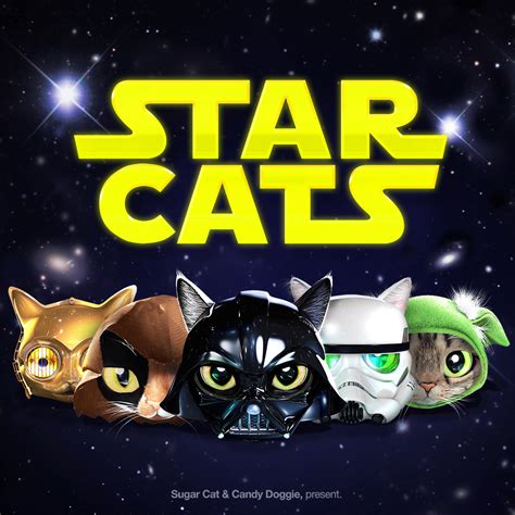 STAR CATS on Behance