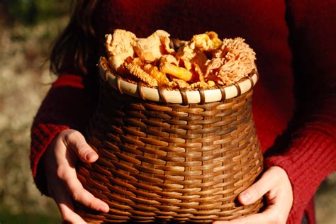 #Mushroom Foraging Basket | Foraging basket, Unique items products, Basket