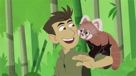 Wild Kratts Red Panda Rescue | On PBS Wisconsin