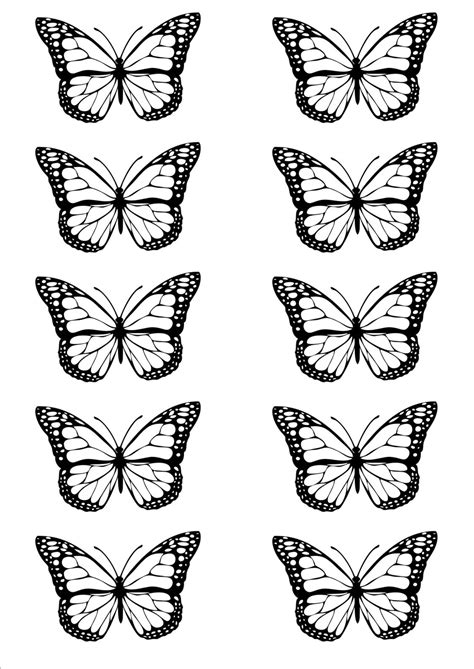 Butterfly Room, Butterfly Drawing, Indie Room Decor, Aesthetic Room ...