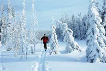 Winter fun at Quebec’s Jacques-Cartier Park – Vacay.ca