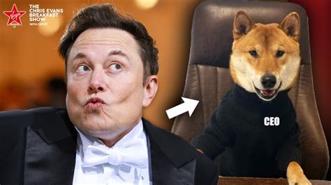 Twitter Owner Elon Musk Names His Dog As Twitter CEO In Bizarre Update! 🐾 - YouTube