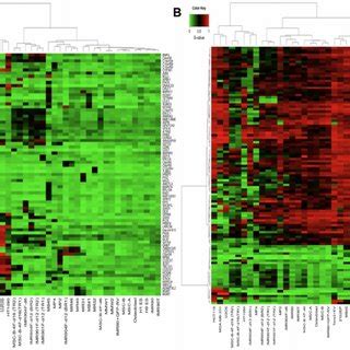 DNA methylation analysis of all cells studied | Download Scientific Diagram