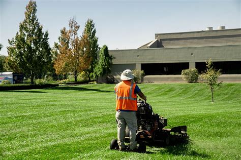 Landscape Maintenance | Diamond Landscapes