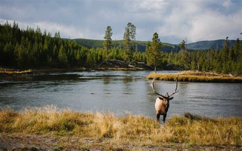 West Yellowstone Weather Forecasts | Maps | News - Yahoo! Weather