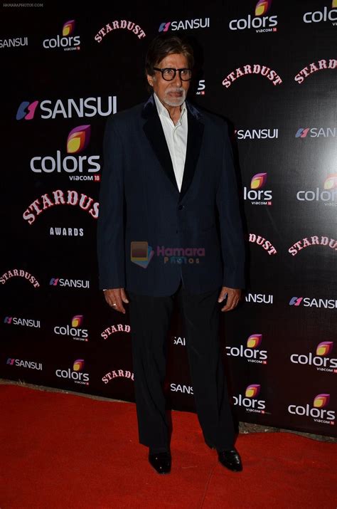 Amitabh Bachchan at Stardust Awards 2014 in Mumbai on 14th Dec 2014 / Amitabh Bachchan ...