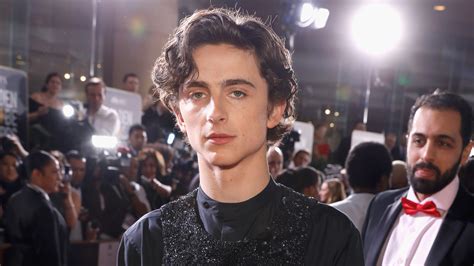 Timothée Chalamet’s Golden Globes Look Is the Future of Menswear | GQ