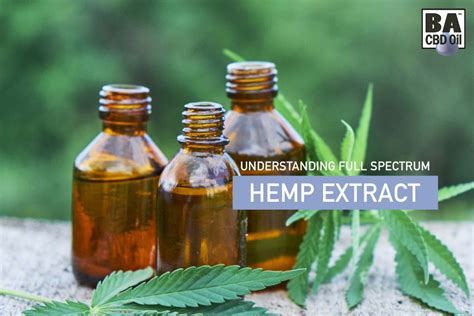 CBD Oil Extracts: What Is A Full Spectrum Hemp Extract?