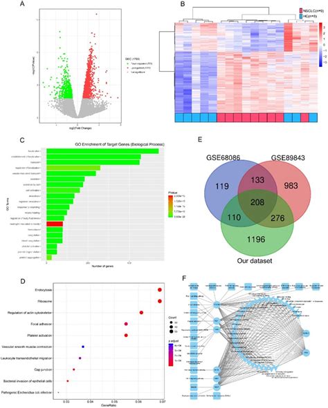 Candidate platelet mRNA selection from RNA-seq analysis. (A) Volcano... | Download Scientific ...