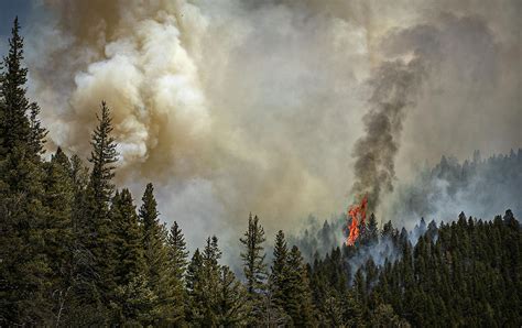 New Mexico fires prompt forest closures; governor seeks aid | AP News