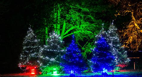 Experience the Magic of Christmas at Kew Gardens – Planning Your Adventure