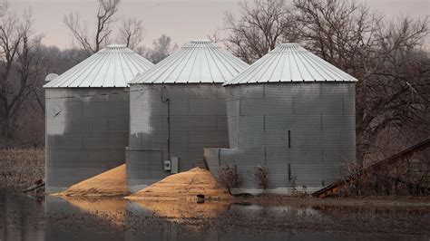 Corn prices may climb back to last year’s highs - MarketWatch