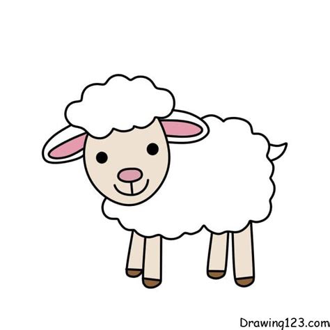 Drawing-sheep-step8