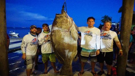 Local firefighter spears 409 pound Warsaw grouper at local fishing tournament