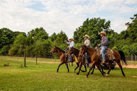 "The Cowboy Way: Alabama" Get Off My Lawn! (TV Episode 2018) - IMDb