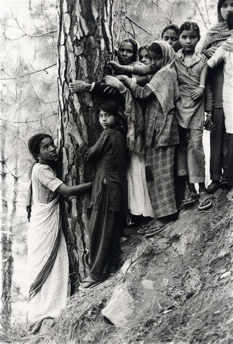 Ecoguerriere: Vandana Shiva e le donne che abbracciano gli alberi – Cafe Virtuel