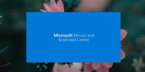 How to install the Microsoft Mouse and Keyboard Center