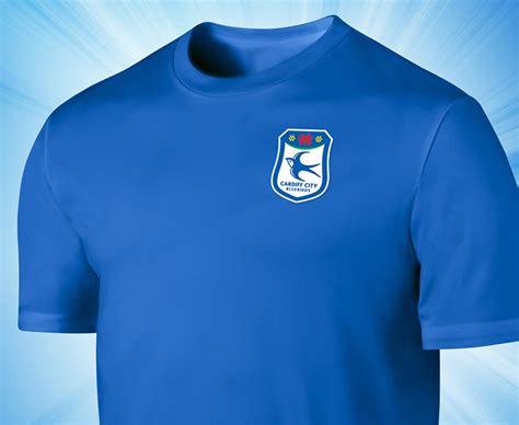 Cardiff City FC 2