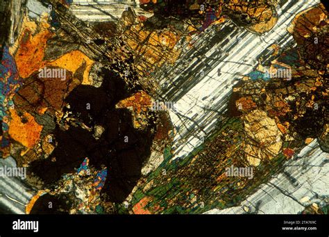 Gabbro is a mafic igneous intrusive rock. Photomicrograph, thin section ...