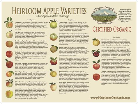 Apple Varieties Chart