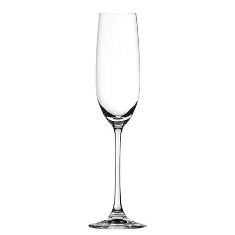 Rent Elegant Champagne Flute Glass For Sparkling Celebrations - For ...