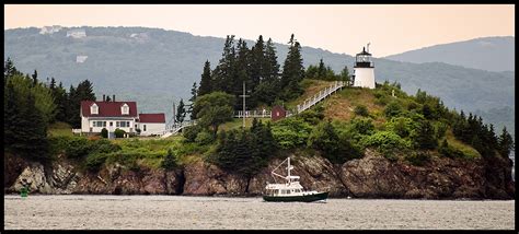 Spot the Rescue “Lighthouse Dog” of Owls Head Light in Maine | New ...