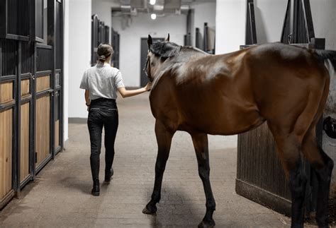 How to Plan and Prepare for a Dressage Competition ⋆ How To Dressage