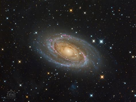 9 - SCIENCE: Science & Technology - Astronomy picture of the day : Messier 81