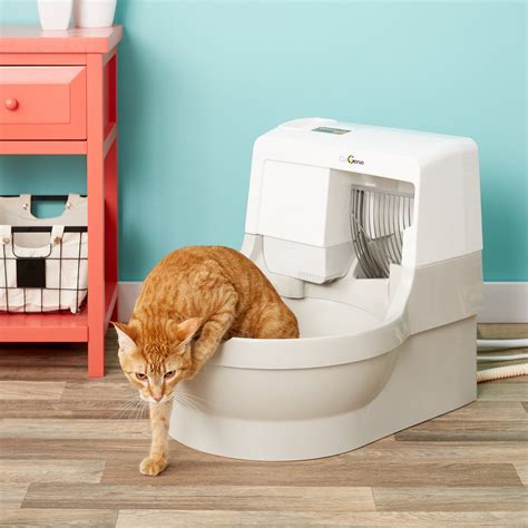 Cat Genie Automatic Self-Cleaning, Self-Washing Litter Box Review