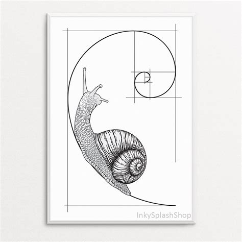 Snail on Fibonacci Spiral Wall Art Printable Golden Ratio | Etsy India