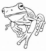 Realistic Frog Coloring Page  Free Printable Pages sketch template